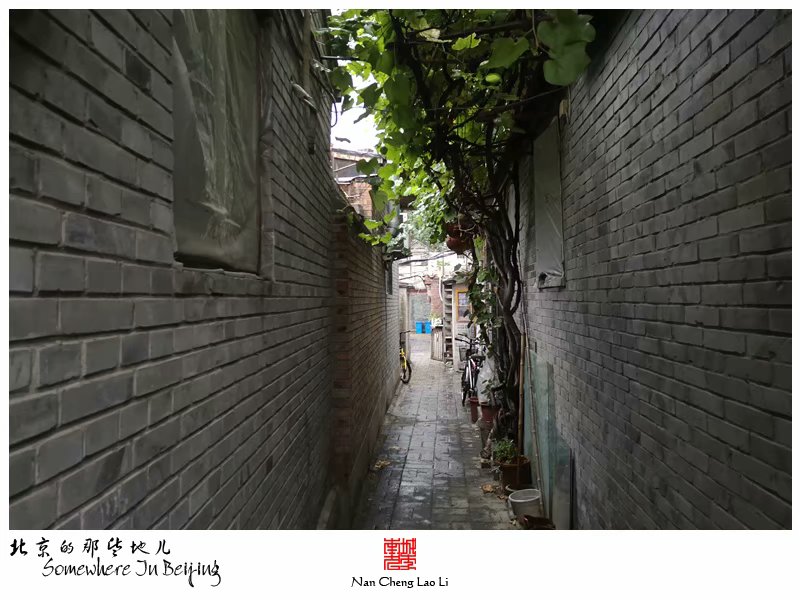 陟山门街十三号院记录（杂院篇）