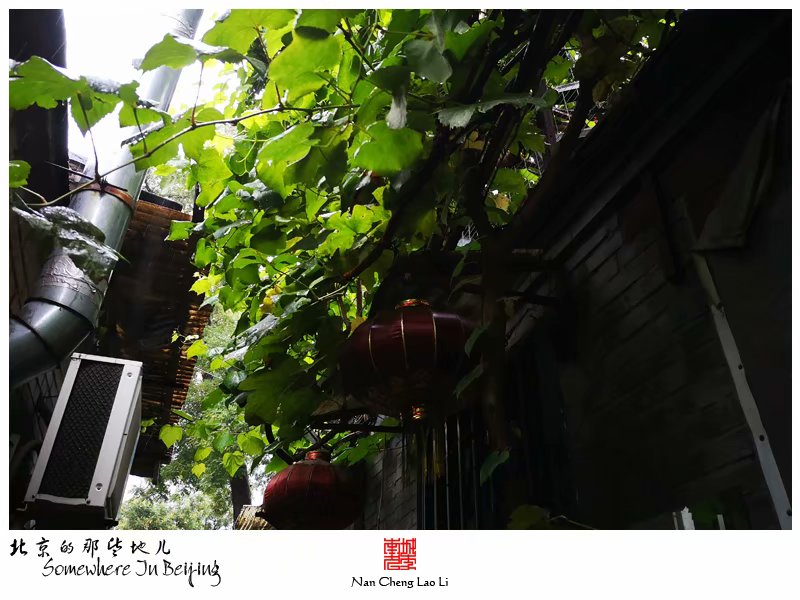 陟山门街十三号院记录（杂院篇）