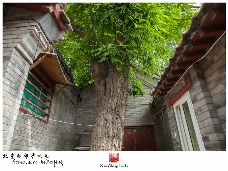 烂缦胡同八十二号记录