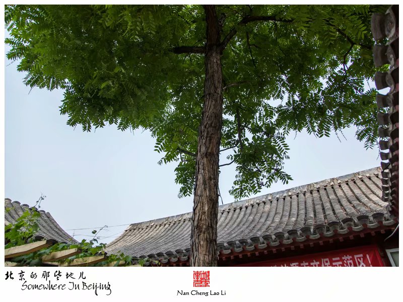烂缦胡同一百零八号记录