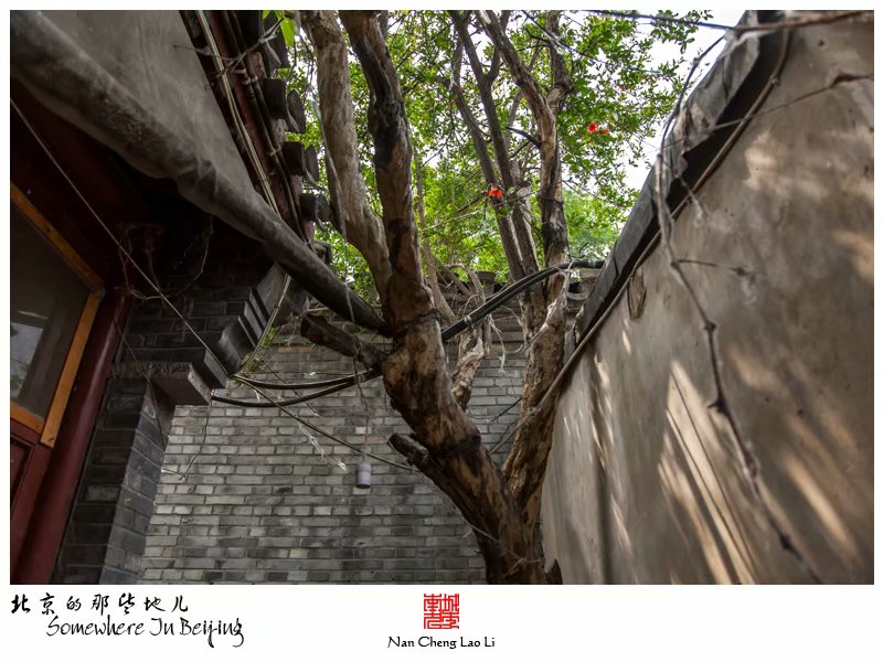烂缦胡同一百零八号记录（四）