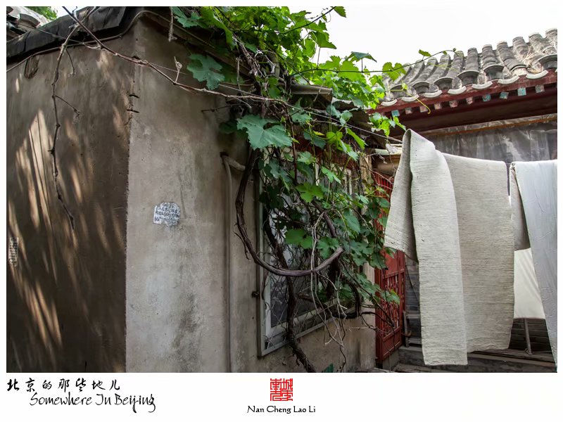 烂缦胡同一百零八号记录（四）