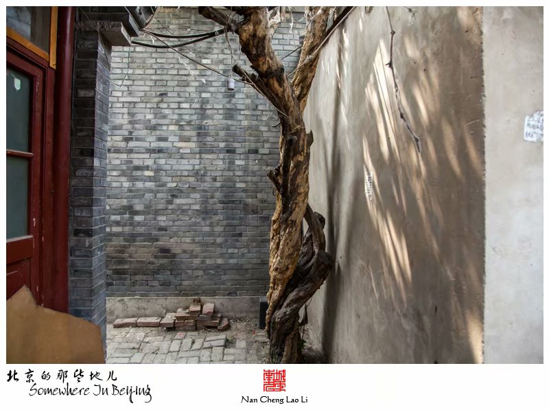 烂缦胡同一百零八号记录（四）