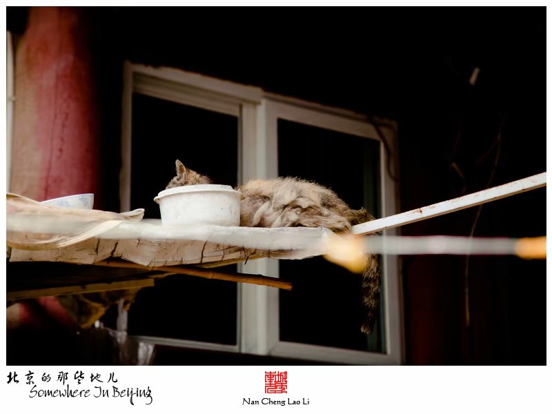 大取灯胡同贝子弘旿府邸建筑遗存