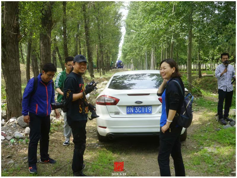 马驹桥镇大杜社地堡探险