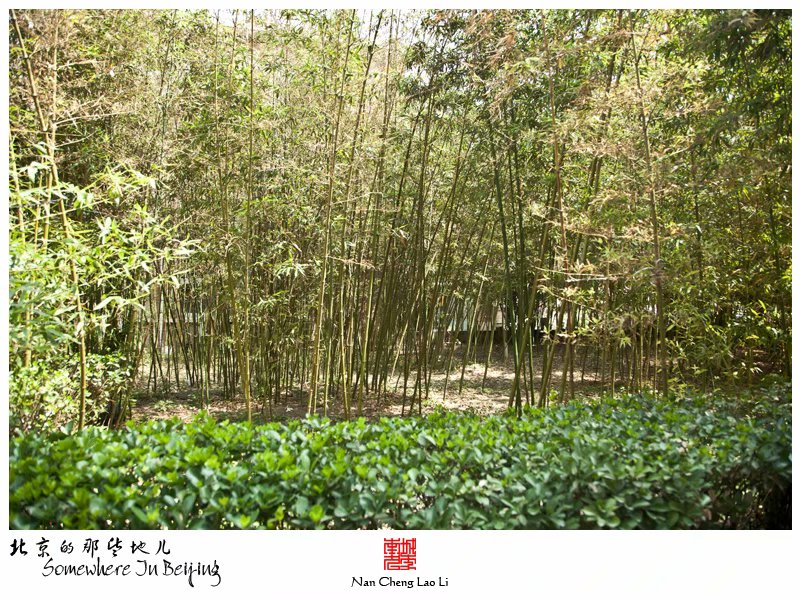 美术馆后街大公主府遗迹