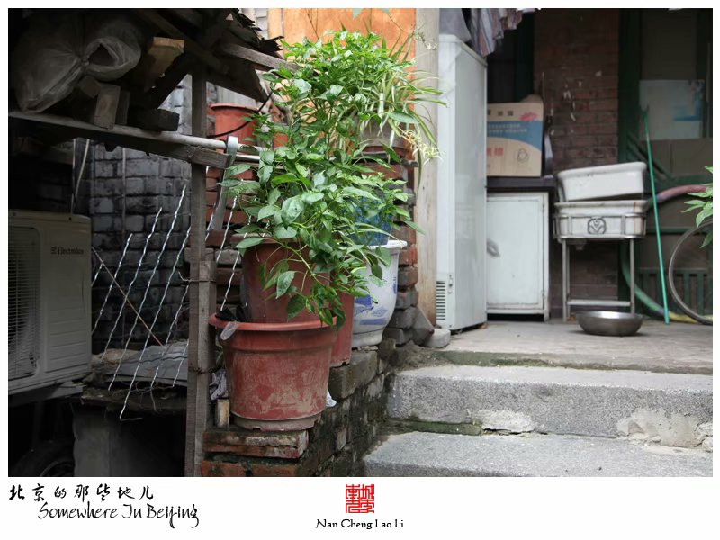 苏州胡同九十九号建筑群