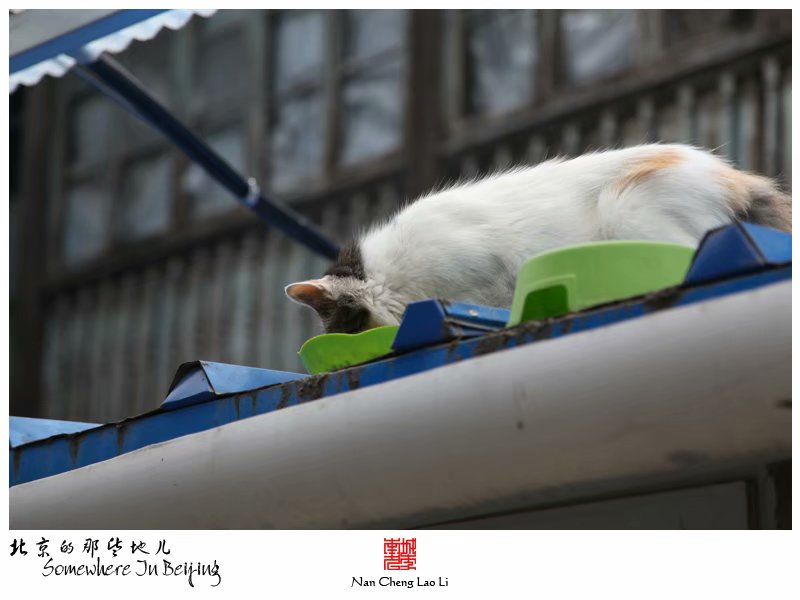 苏州胡同一百一十八号