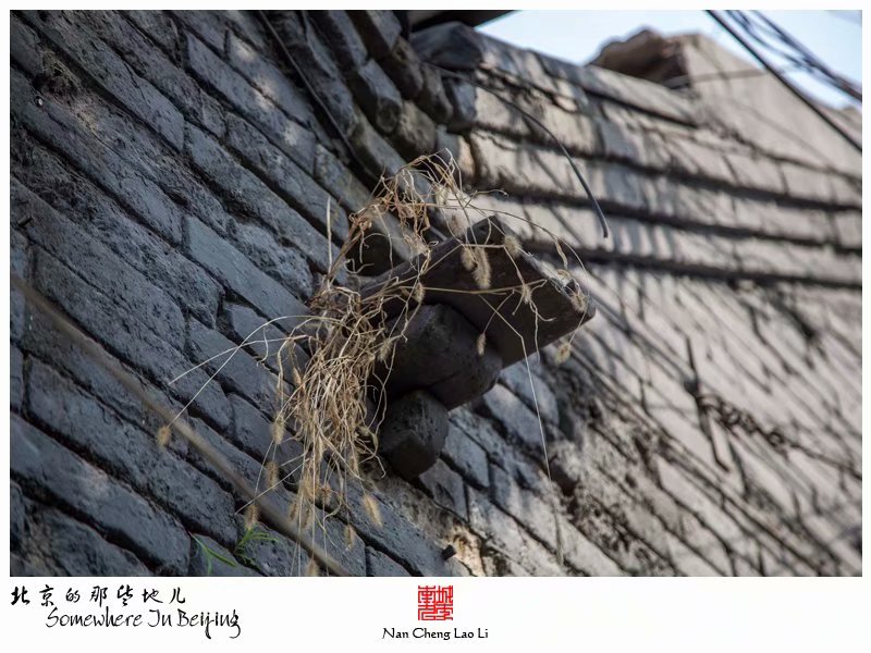 华严路里有个华康里