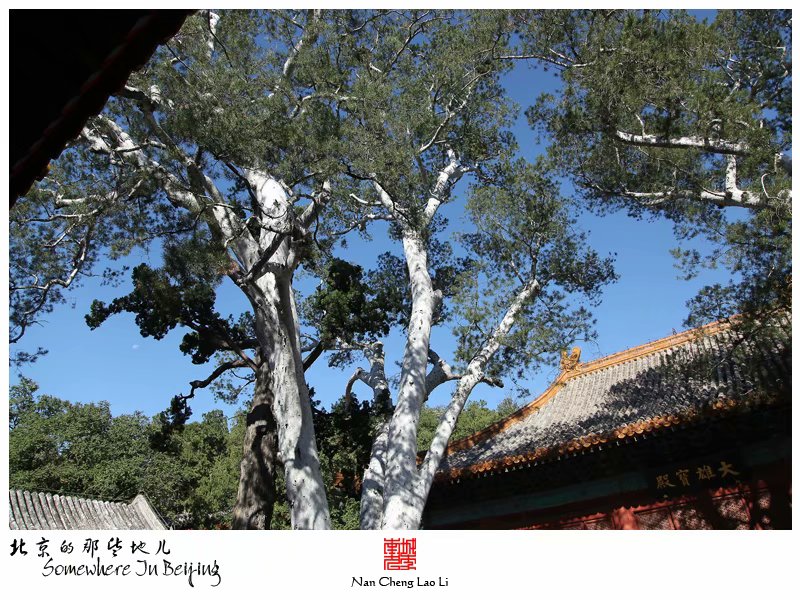 模式口翠微山法海寺记录（三）