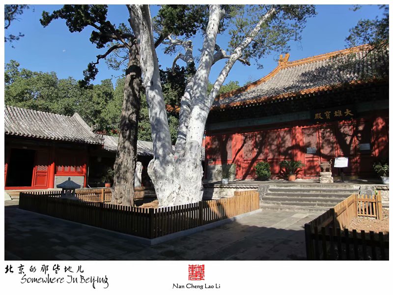 模式口翠微山法海寺记录（三）