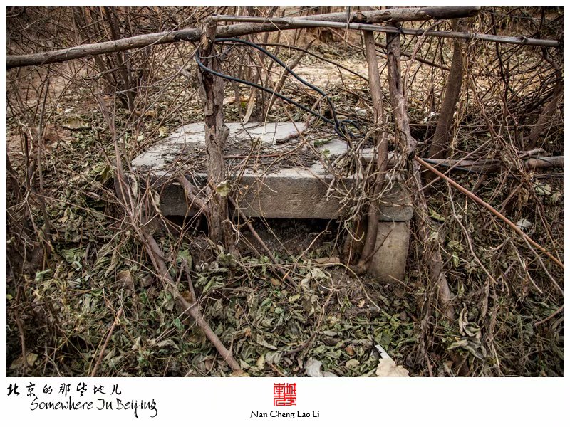 晓幼营村贞节牌坊及王氏家族墓
