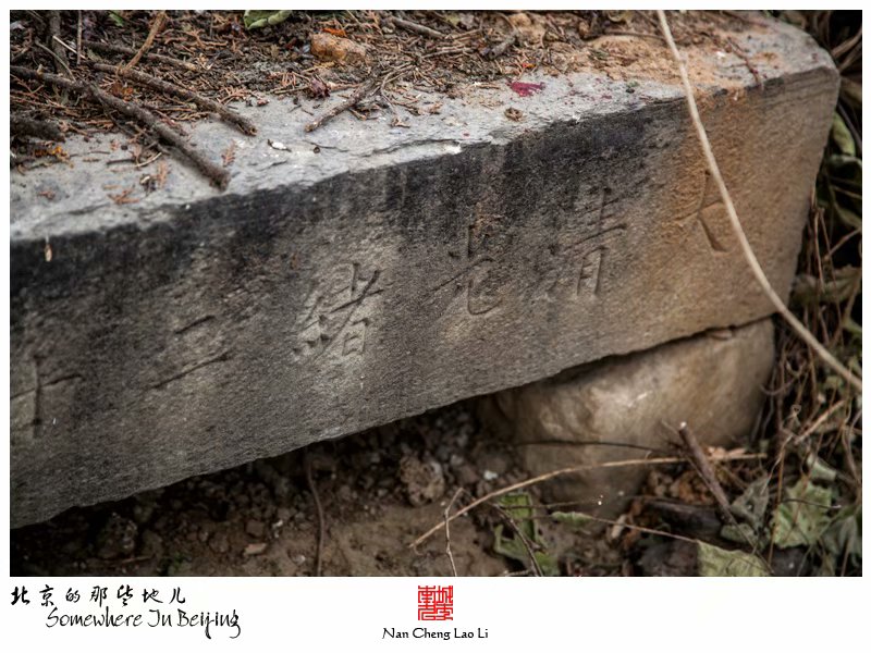 晓幼营村贞节牌坊及王氏家族墓