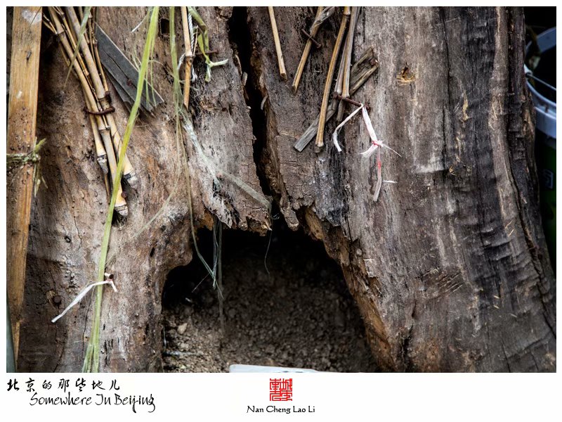 小西天东里的平房区
