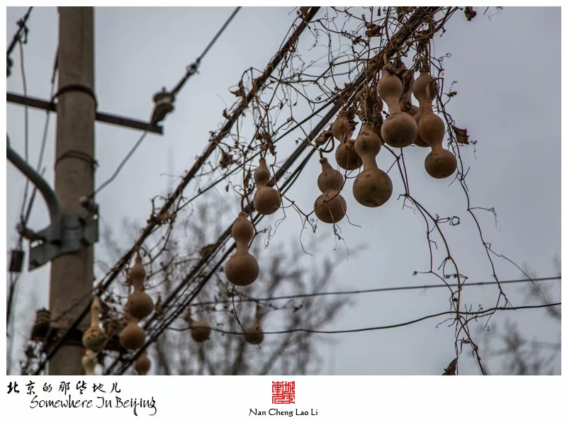 小西天东里的平房区