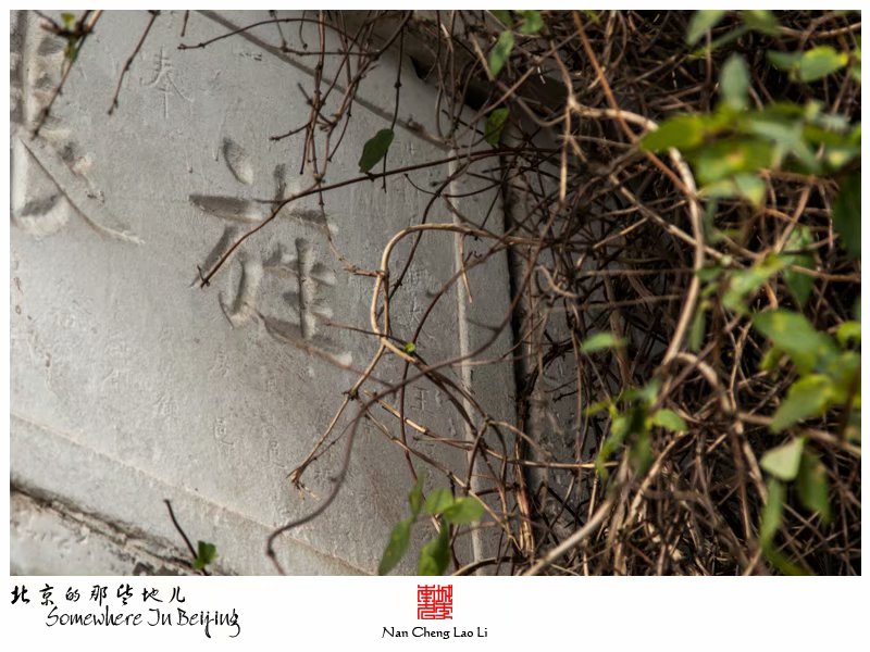 晓幼营村贞节牌坊及王氏家族墓