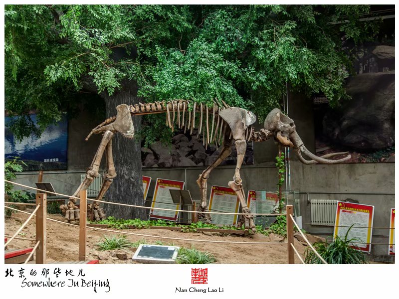 模式口第四纪冰川遗迹陈列馆参观（七）