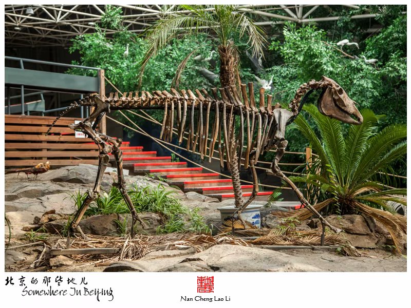 模式口第四纪冰川遗迹陈列馆参观（七）