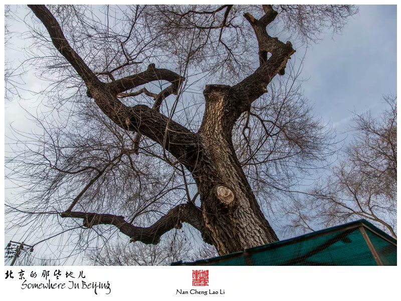 广义街小学