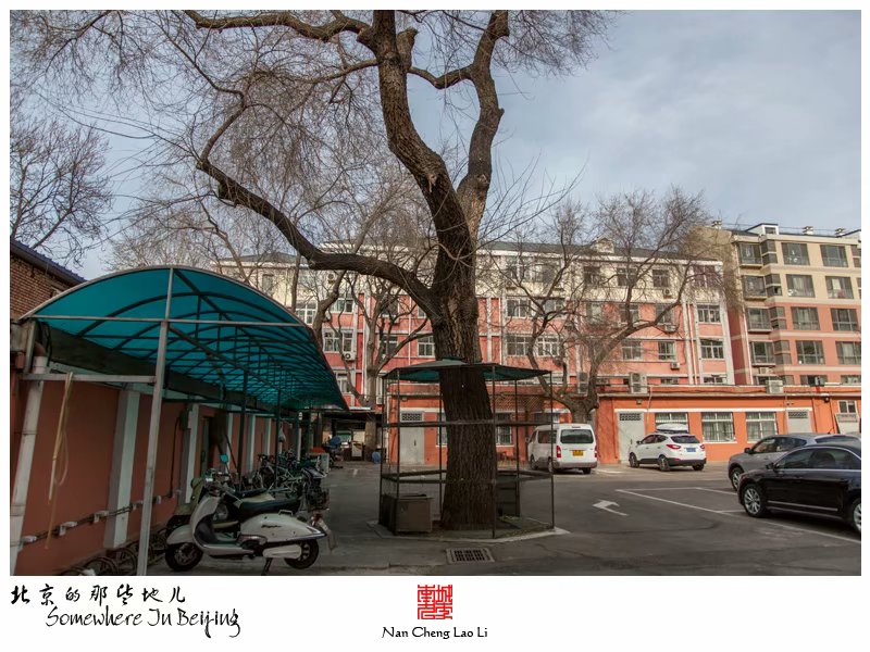 广义街小学