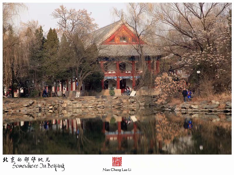 北京大学之未名湖燕园建筑群（中）