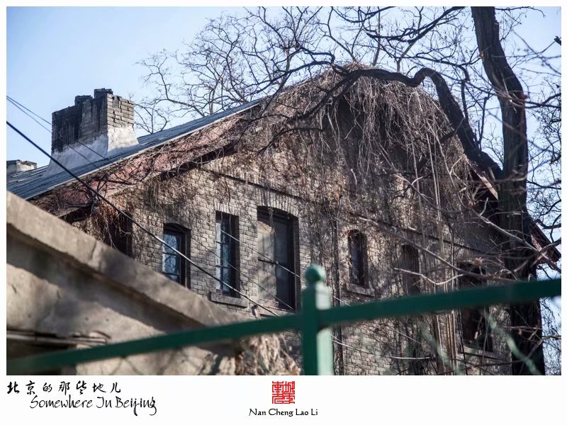 北京大学之燕东园建筑群（下）