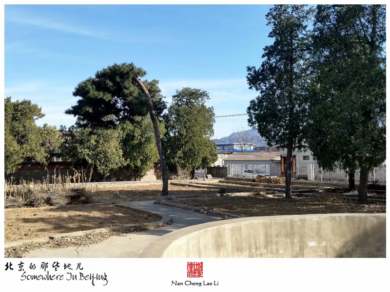 白羊城村庆亲王家族墓