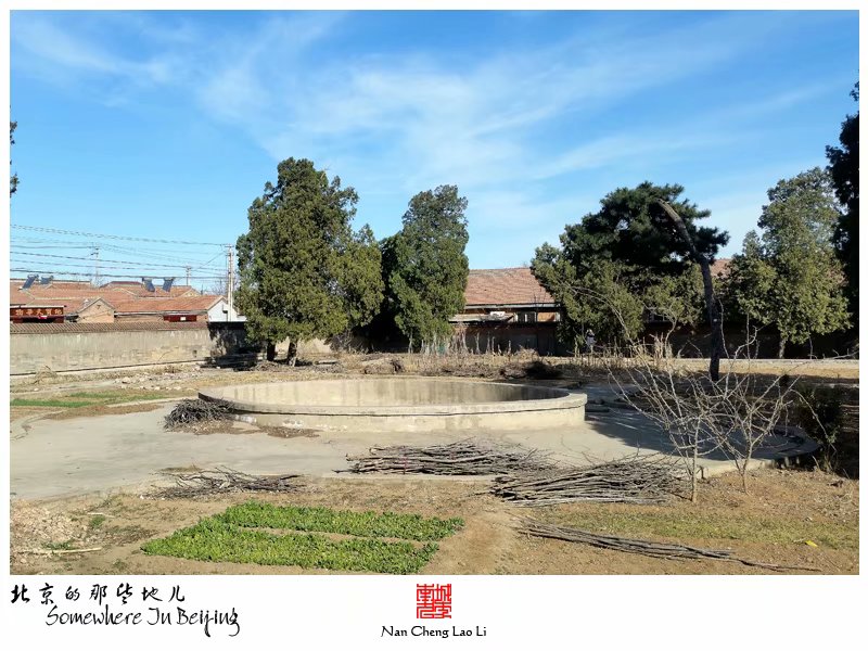 白羊城村庆亲王家族墓