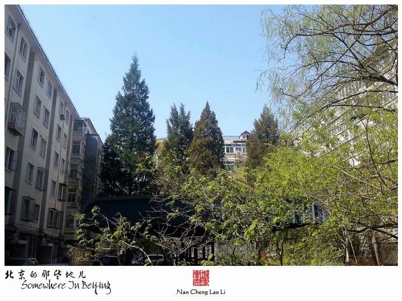 北京大学之中关园记录（下）