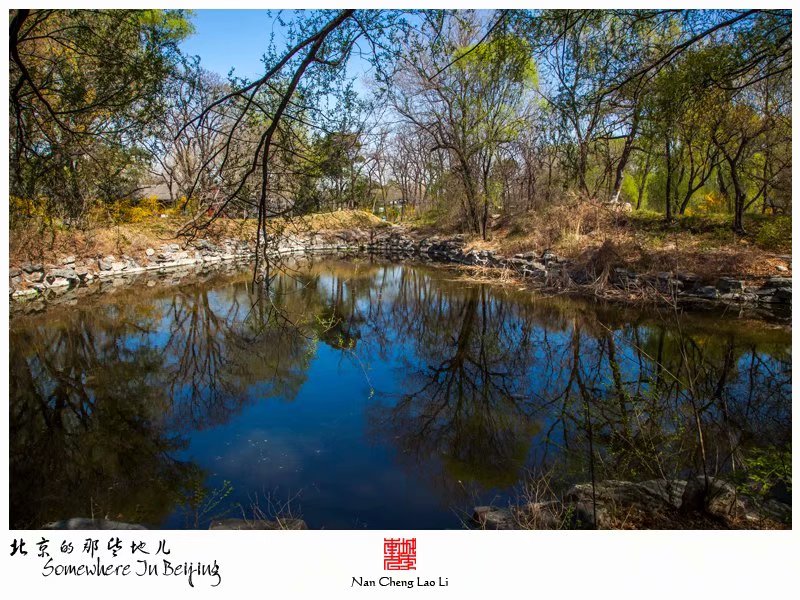 北京大学之镜春园建筑群（下）