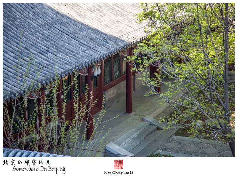北京大学之治贝子园遗存