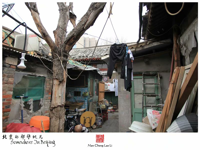 棉花下二条十一号院