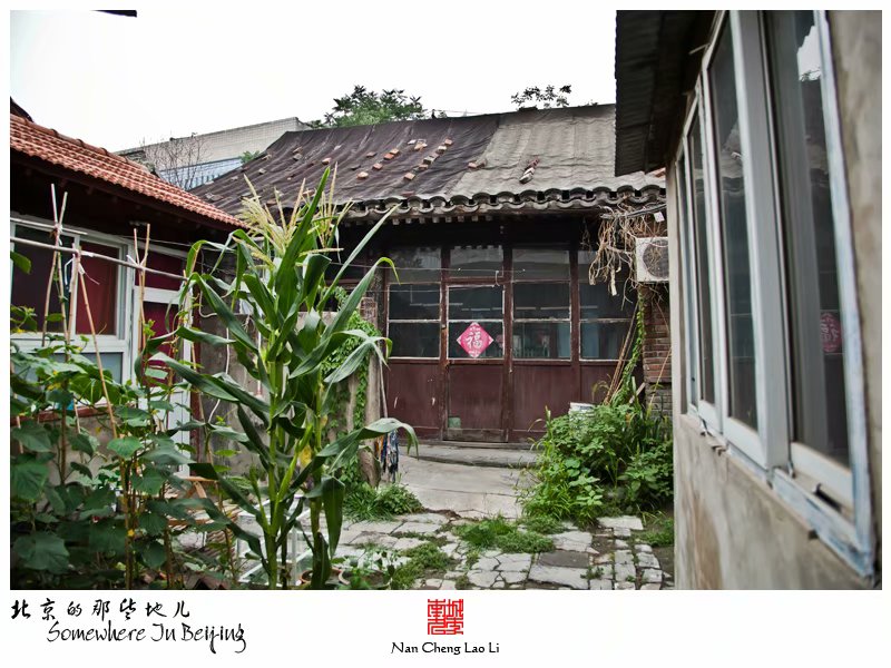 棉花下二条九号院