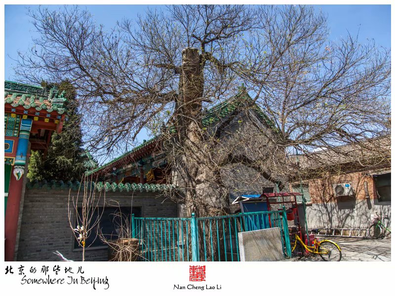 张家湾镇张湾村清真寺记录