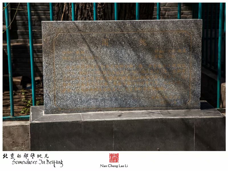 张家湾镇张湾村清真寺记录
