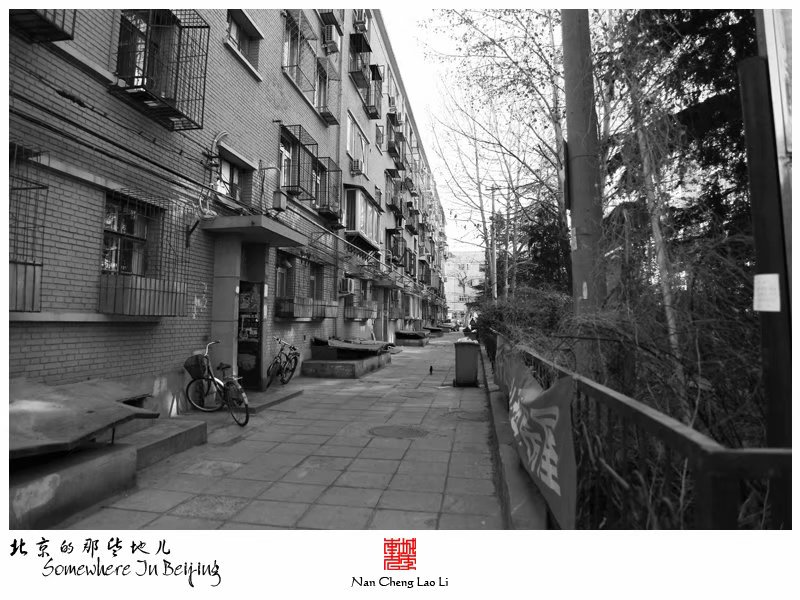 黄瓜园里的老楼房
