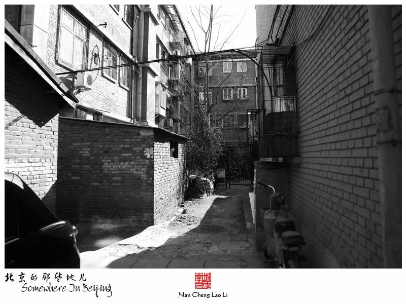 黄瓜园里的老楼房