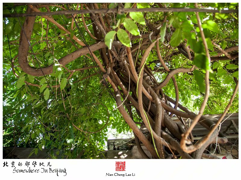 七井胡同伏魔庵旧址