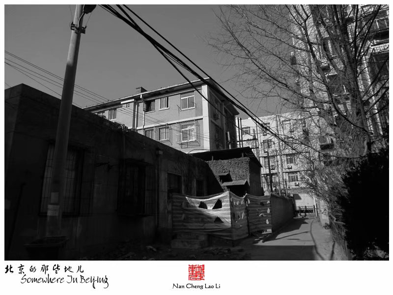 黄瓜园里的老楼房