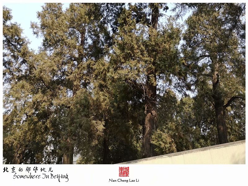 在冯其利老师和周莎老师所著的《重访清代王爷坟》中指出，这里就是裕僖亲王亮焕的墓地旧址。