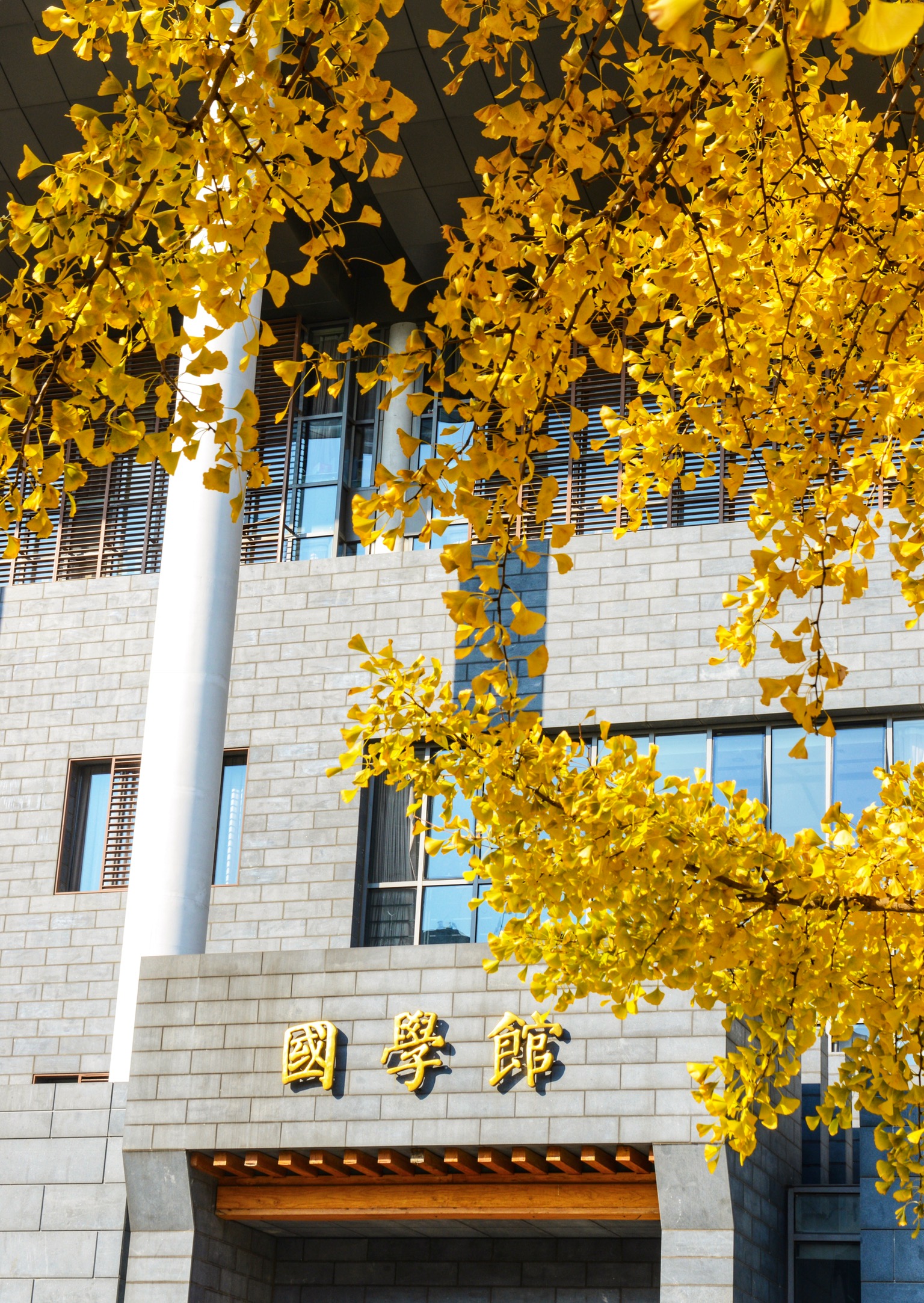 我爱这一方精致的校园
