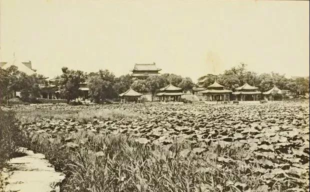 1901年，五龙亭，可见阐福寺大佛殿、大西天极乐世界、万佛楼