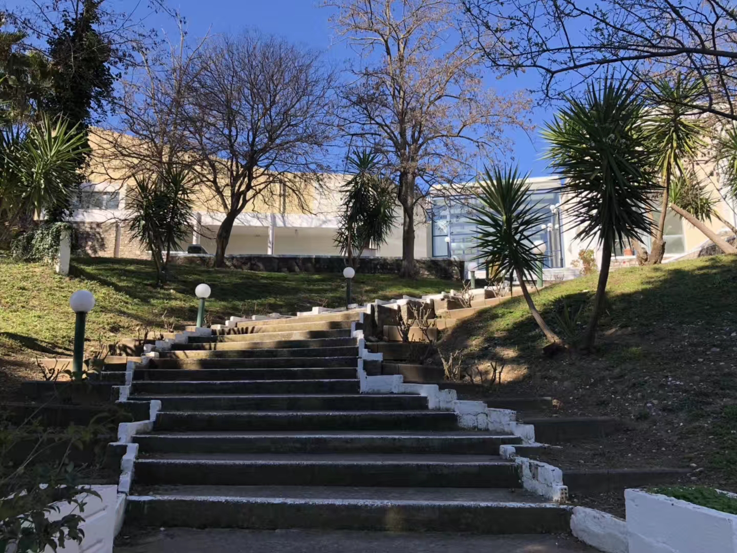 二度参访国际奥林匹克学院