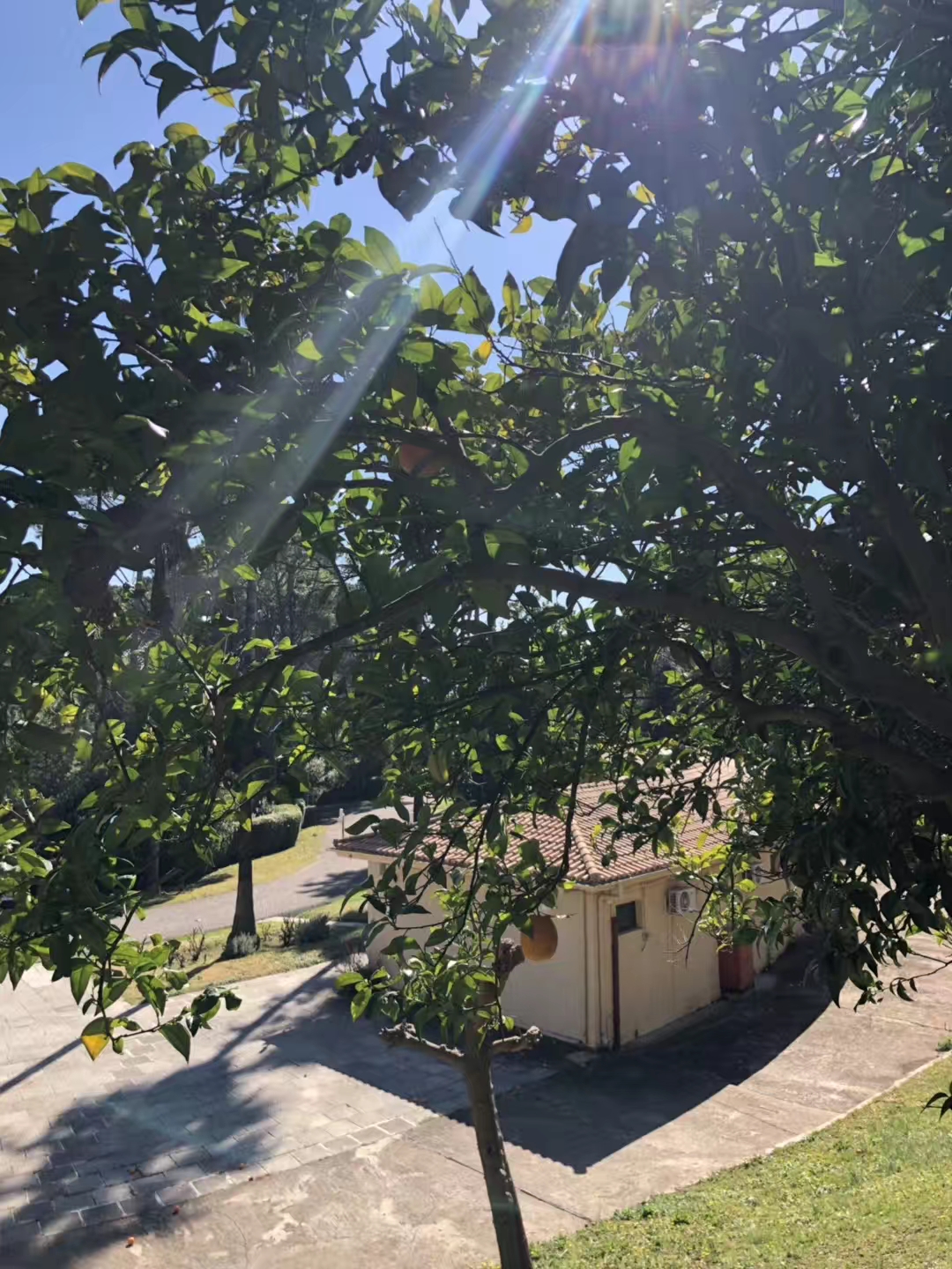 二度参访国际奥林匹克学院