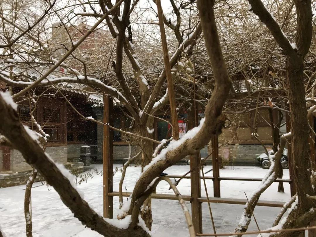 早上9：30走进史家胡同博物馆，树木、房屋罩上了一层薄薄的雪，小院儿变成了粉妆玉砌的世界。