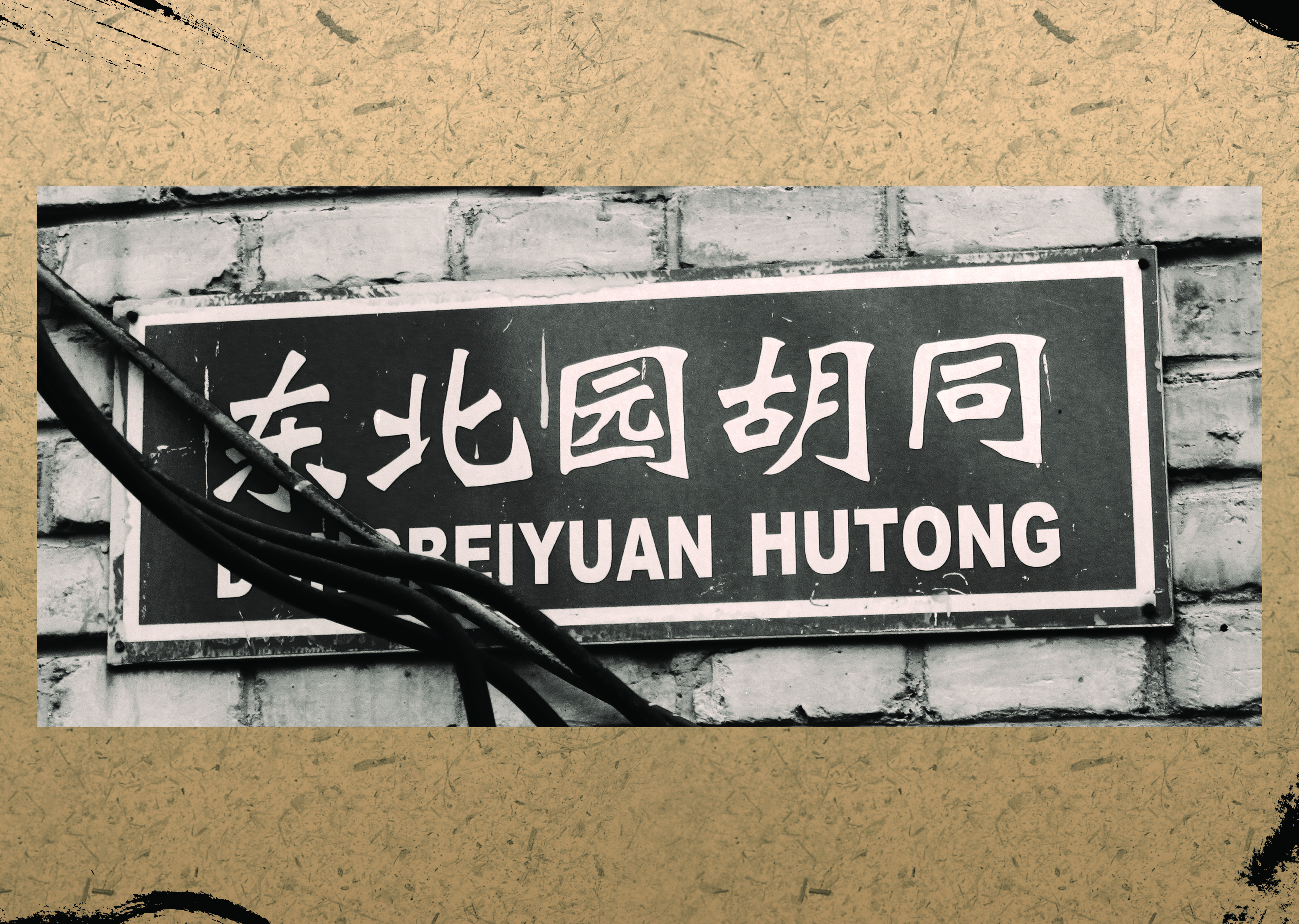 东北园胡同牌照