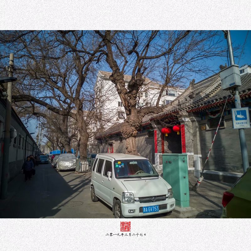 手机拍摄春天里的北京胡同